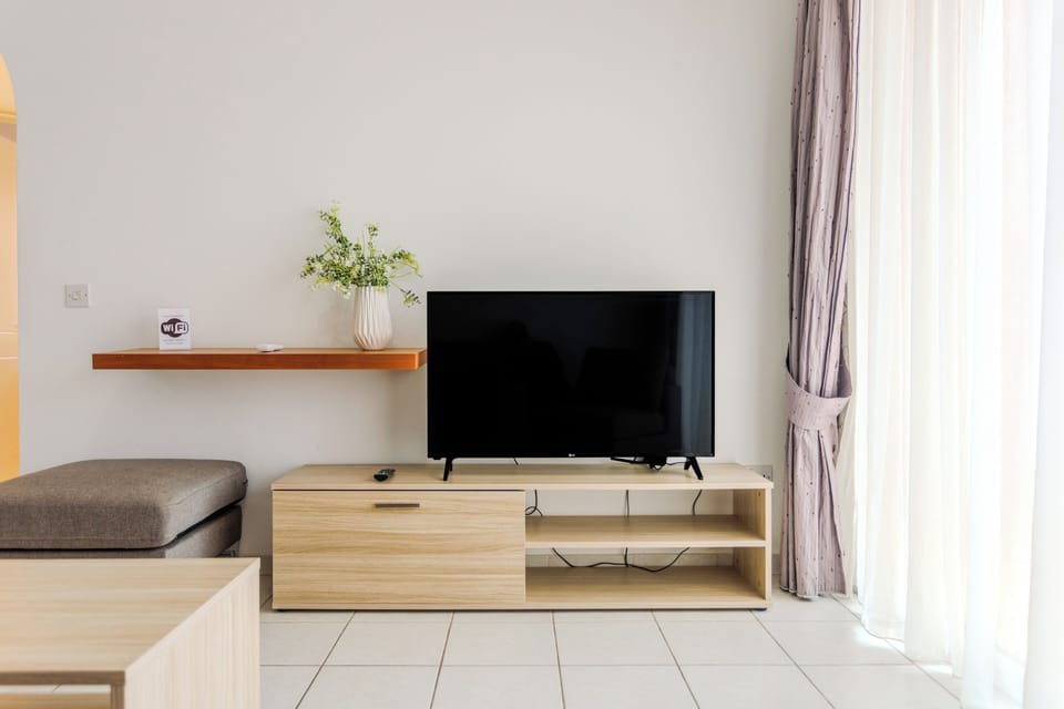 Television