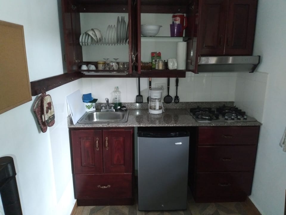 Comfort Apartment, 1 Queen Bed, Non Smoking, Kitchen | Private kitchen | Fridge, stovetop, coffee/tea maker, electric kettle