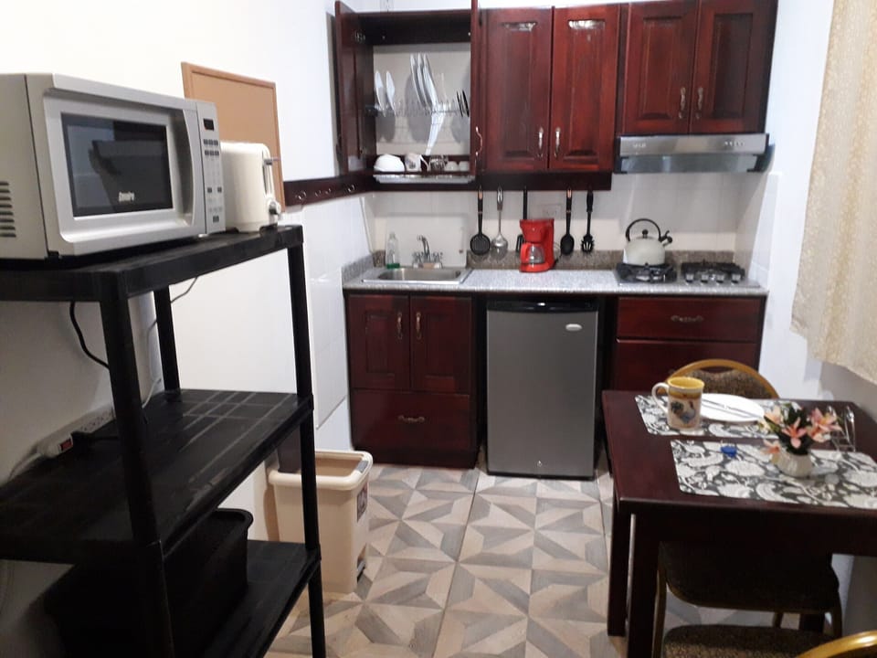 Comfort Apartment, 1 Queen Bed, Non Smoking, Kitchen | Private kitchen | Fridge, stovetop, coffee/tea maker, electric kettle