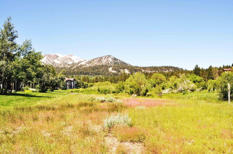Condo, 3 Bedrooms (Snowcreek #510 Phase IV) | Property grounds