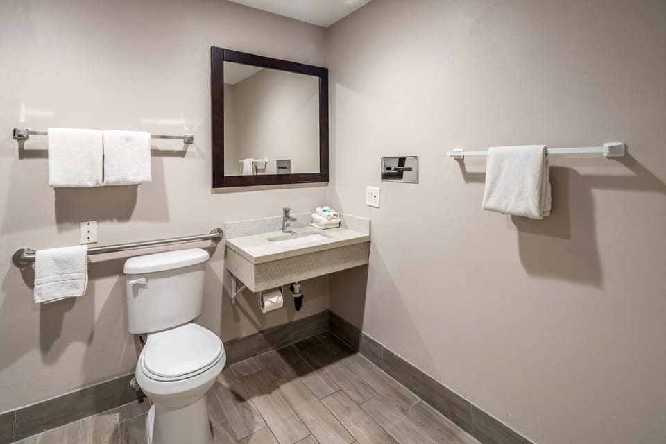 Deluxe Room, 1 Queen Bed, Accessible (Smoke Free) | Bathroom | Hydromassage showerhead, free toiletries, hair dryer, towels