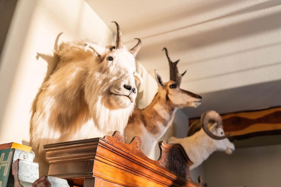 42-inch TV with satellite channels, Netflix, Hulu