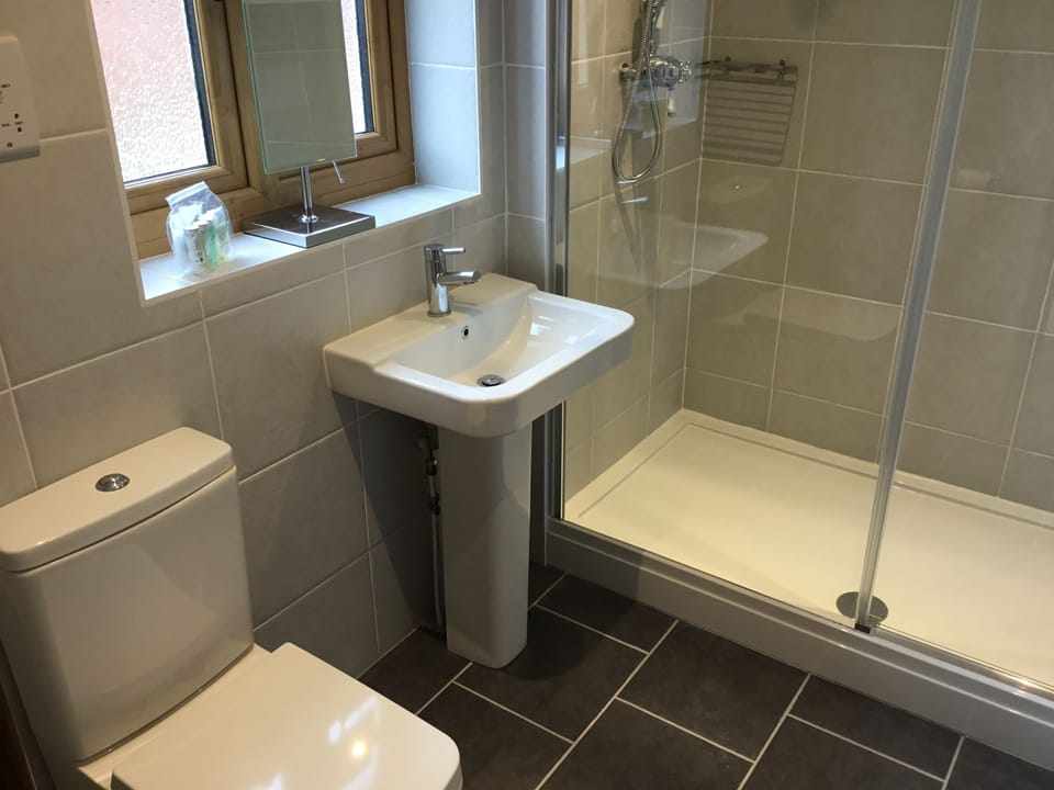 Deluxe Double Room | Bathroom | Shower, free toiletries, hair dryer, towels