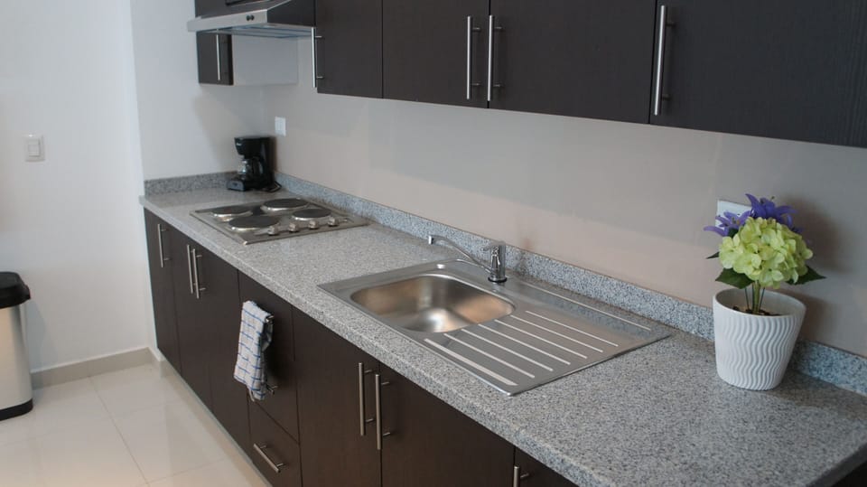 Premium Suite | Private kitchenette | Full-size fridge, dishwasher, griddle, cookware/dishes/utensils