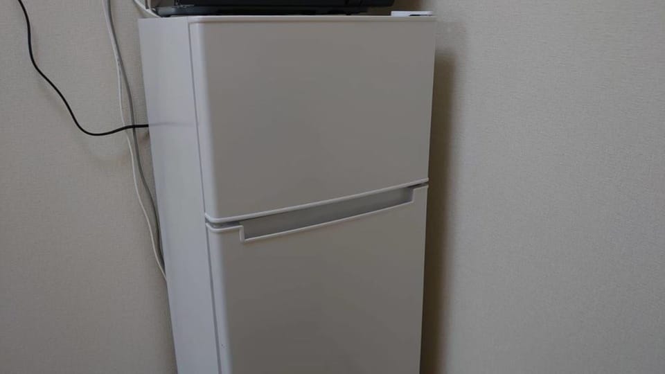 1 Bedroom Apartment | Private kitchenette | Fridge, microwave, stovetop, electric kettle