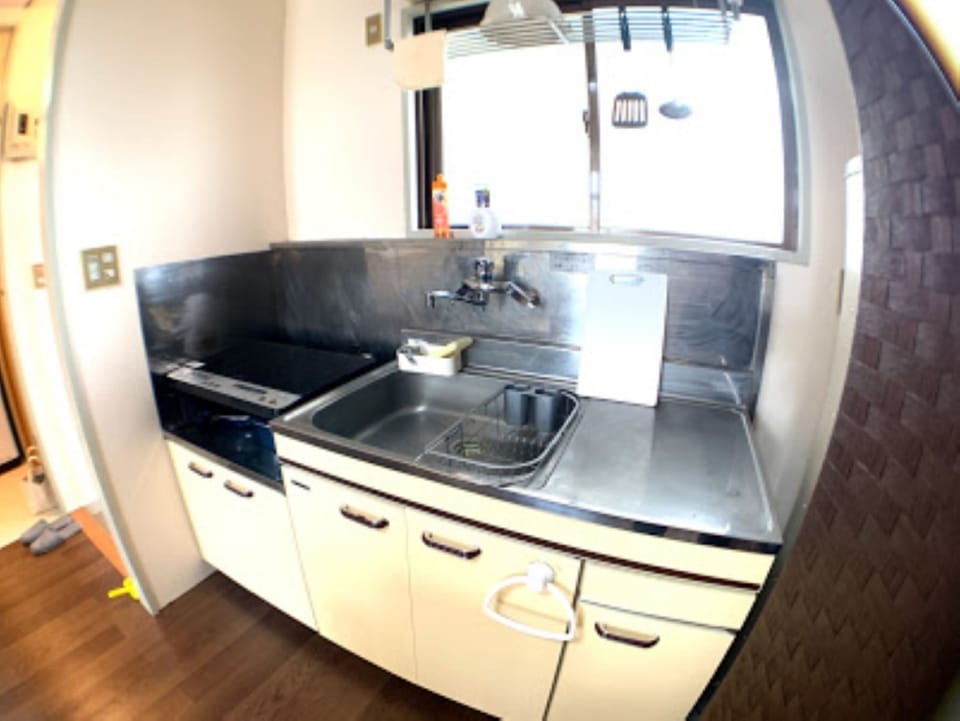 Apartment (202) | Private kitchen | Full-size fridge, microwave, stovetop, electric kettle