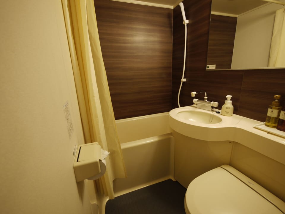 Combined shower/tub, free toiletries, hair dryer, slippers