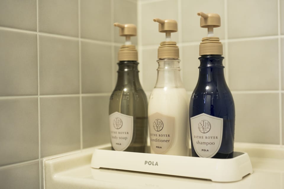 Combined shower/tub, free toiletries, hair dryer, slippers