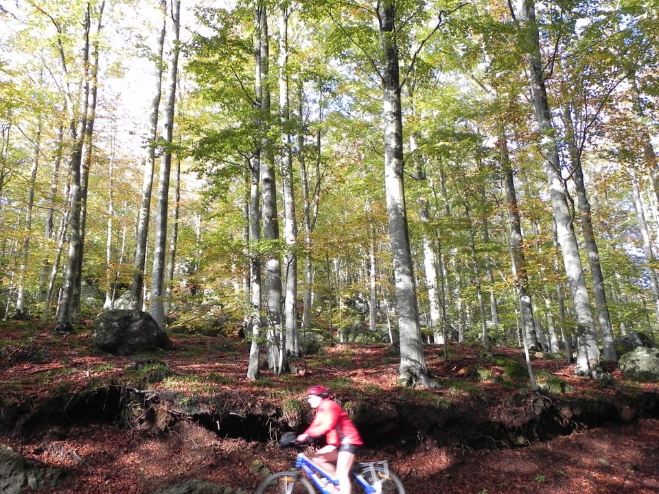 Bicycling
