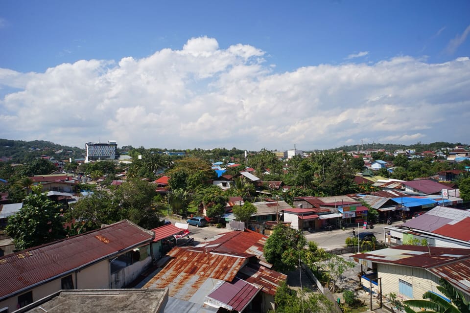 City view from property