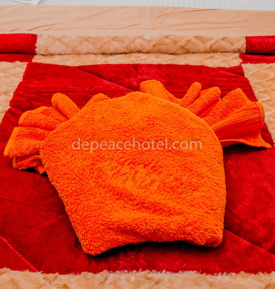 Shower, free toiletries, slippers, towels