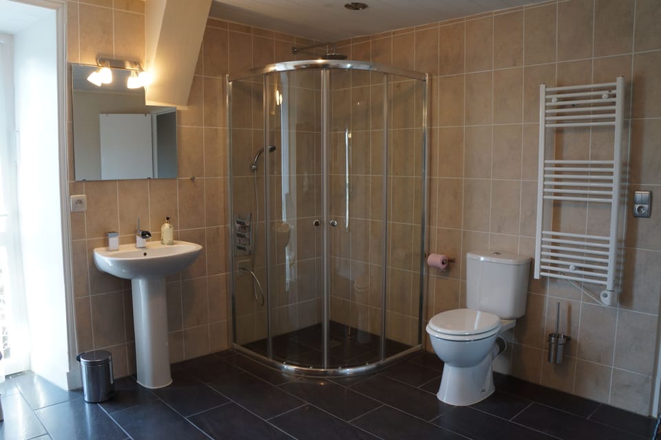 Junior Room (Ecrivain) | Bathroom shower