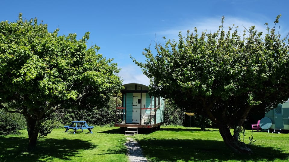 Cabin | Property grounds