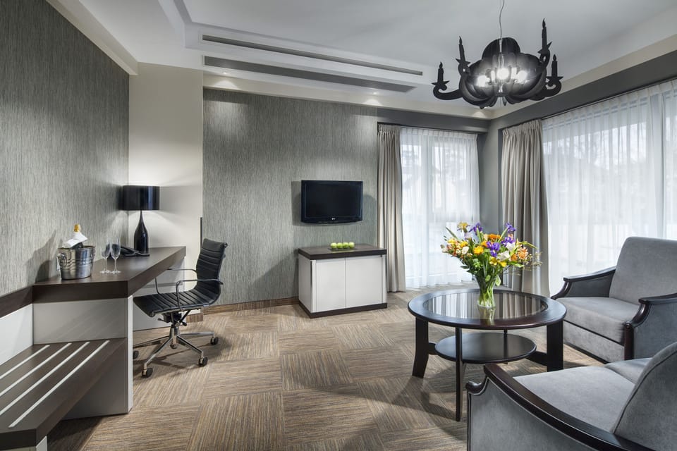 Suite | Living area | Flat-screen TV, toys