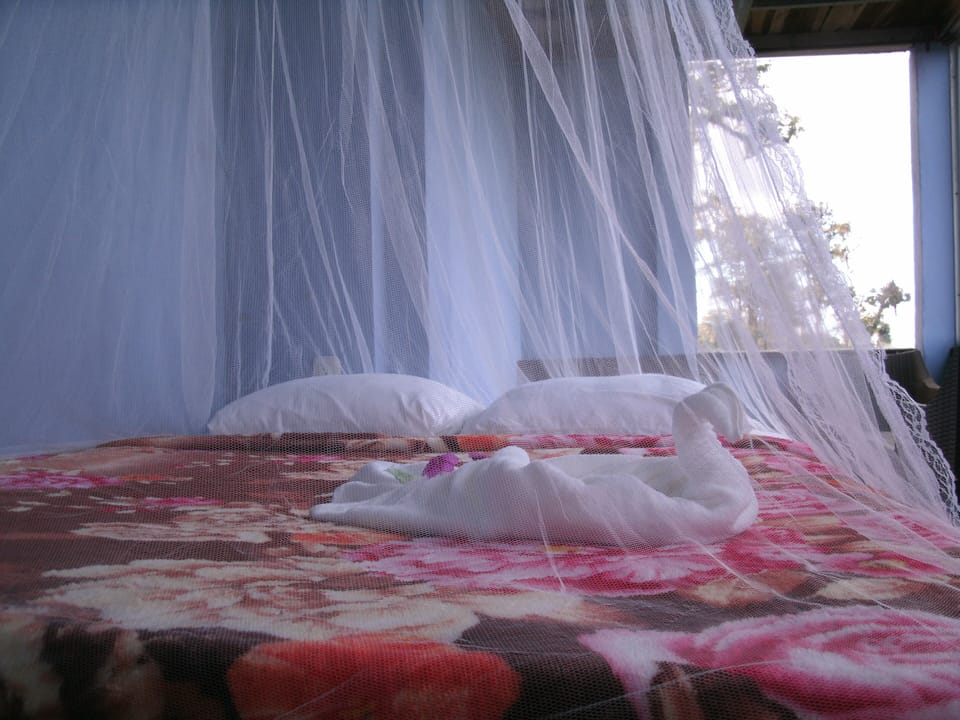 Standard Room | Hypo-allergenic bedding, free WiFi
