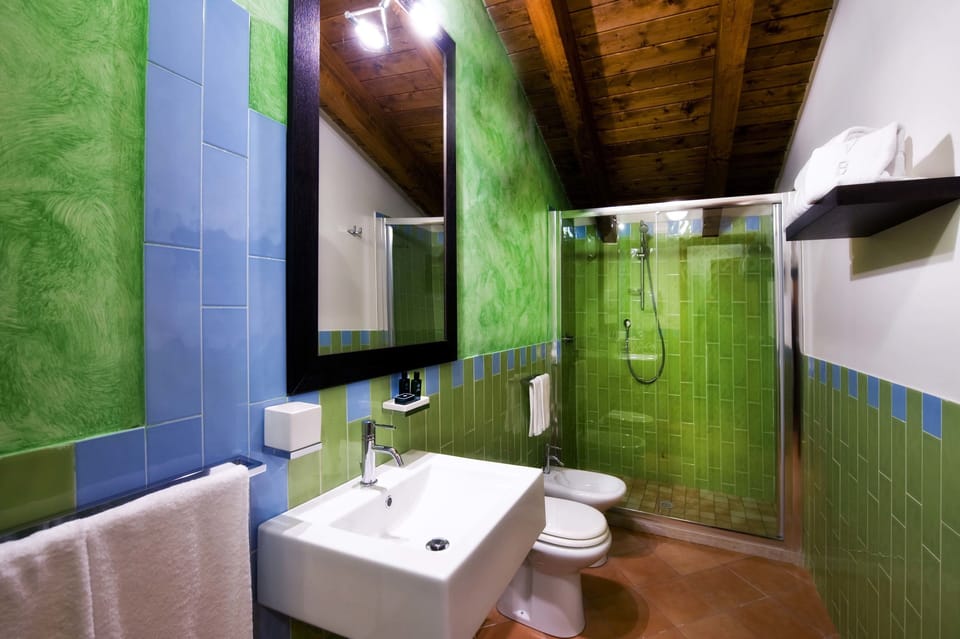 Shower, free toiletries, hair dryer, bidet