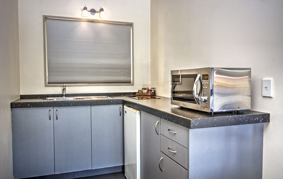 Spacious Lakeview Studio | Private kitchen | Fridge, microwave, stovetop, coffee/tea maker