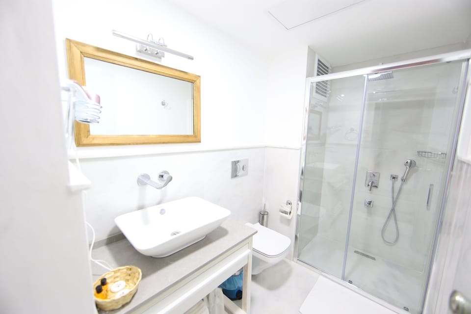 Deluxe Double Room | Bathroom | Shower, free toiletries, hair dryer, bathrobes
