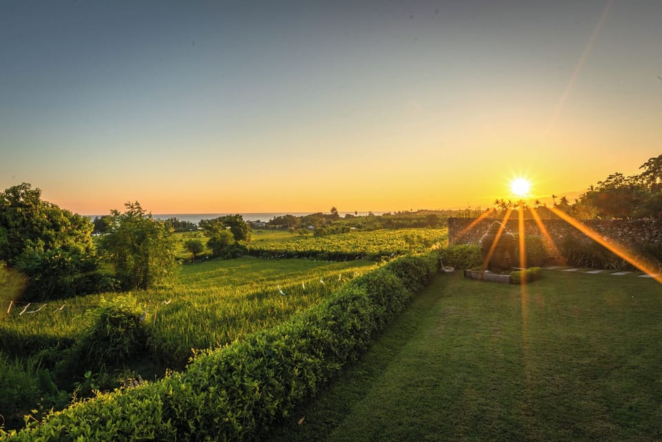Garden view