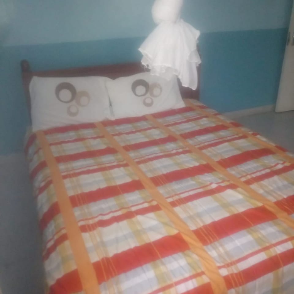 Standard Double Room | Desk, blackout drapes, free WiFi, bed sheets