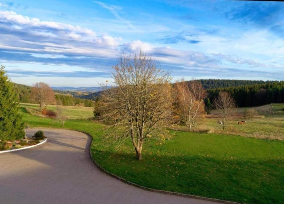House | View from property