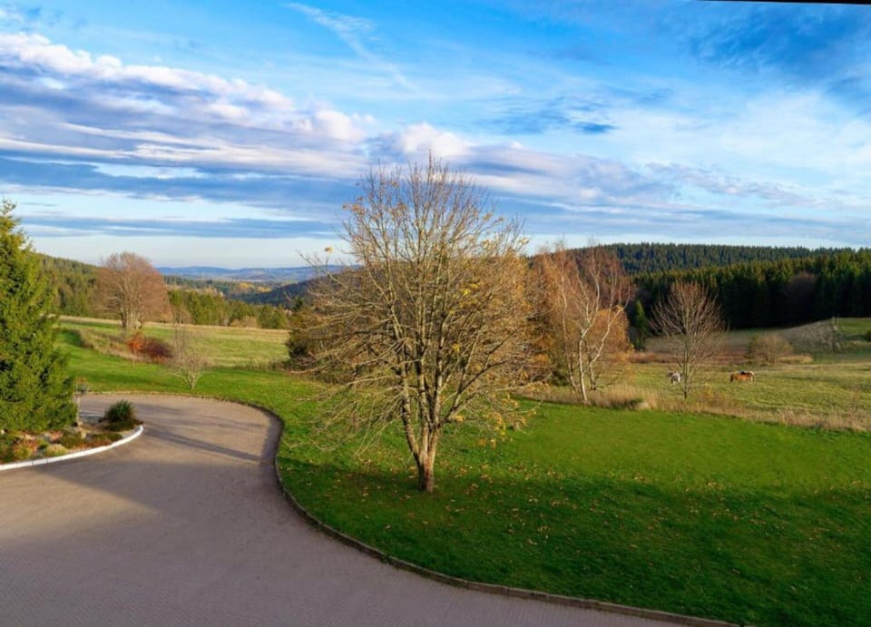 House | View from property