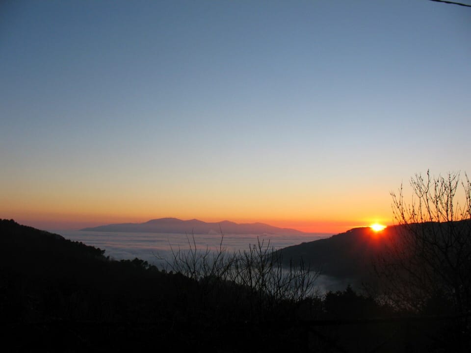 House | View from property