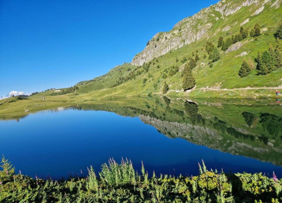 Chalet | View from property
