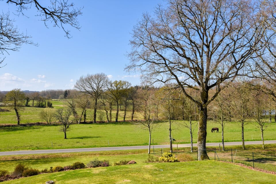 House | Garden