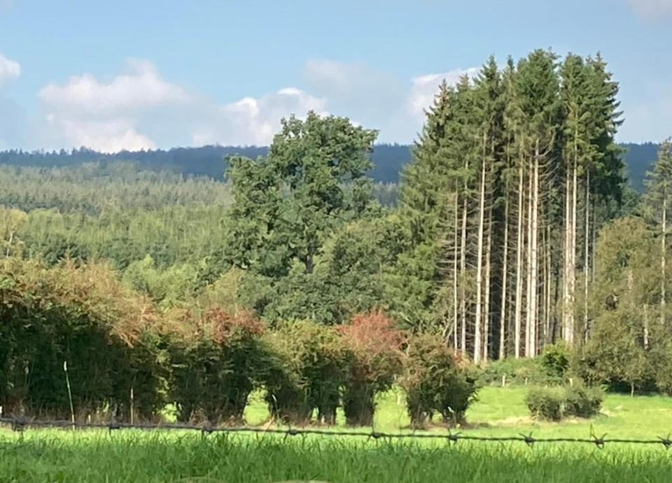 Cottage | View from property