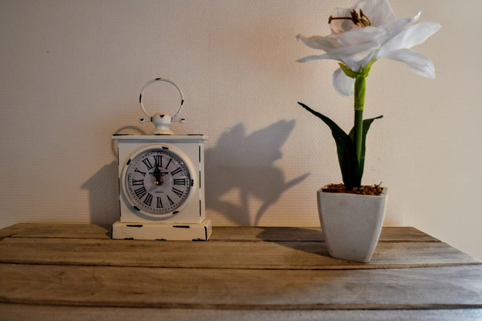 House | Interior detail