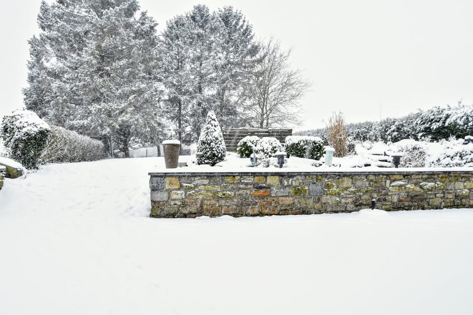 House | Garden