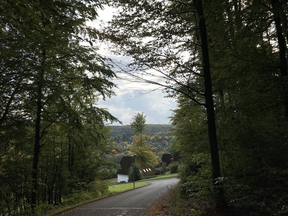 House | View from property