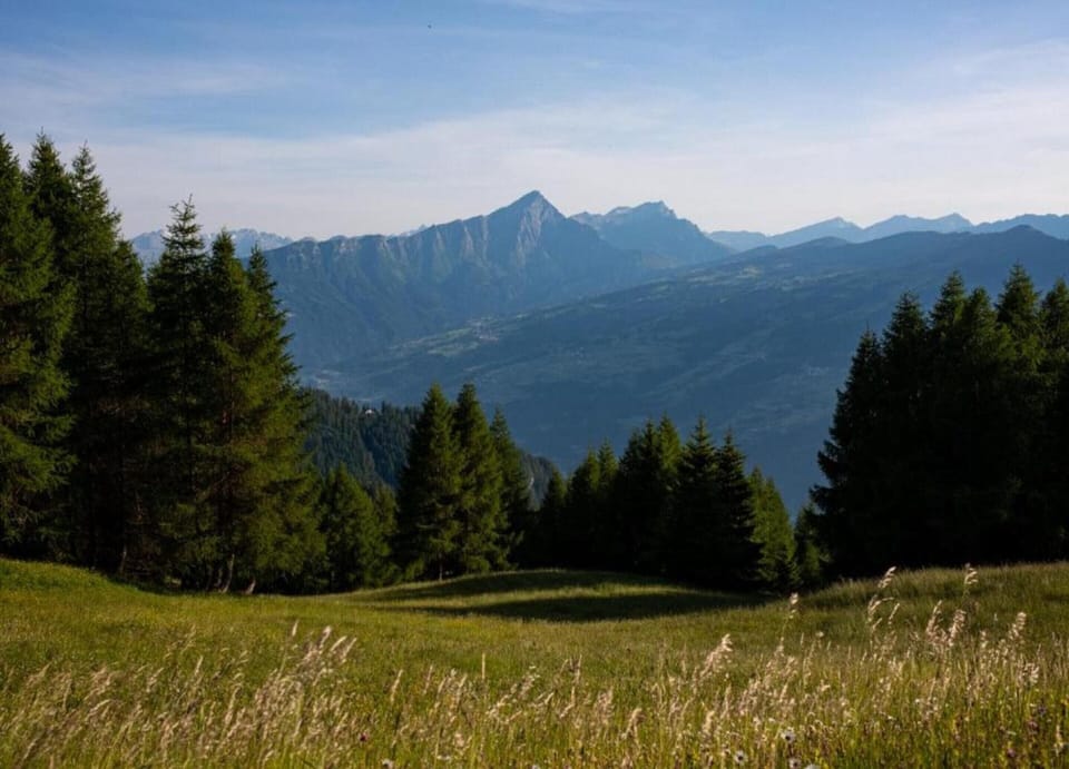 Apartment | View from property