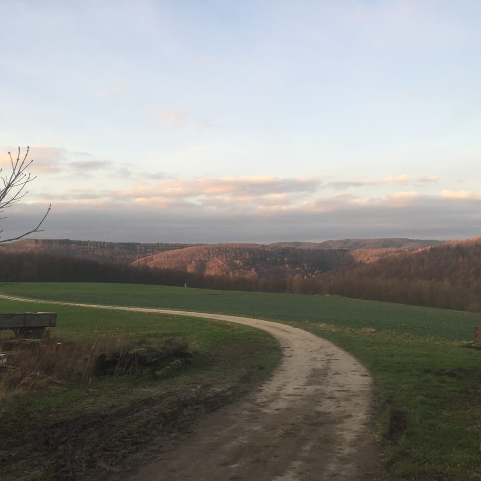 House | View from property