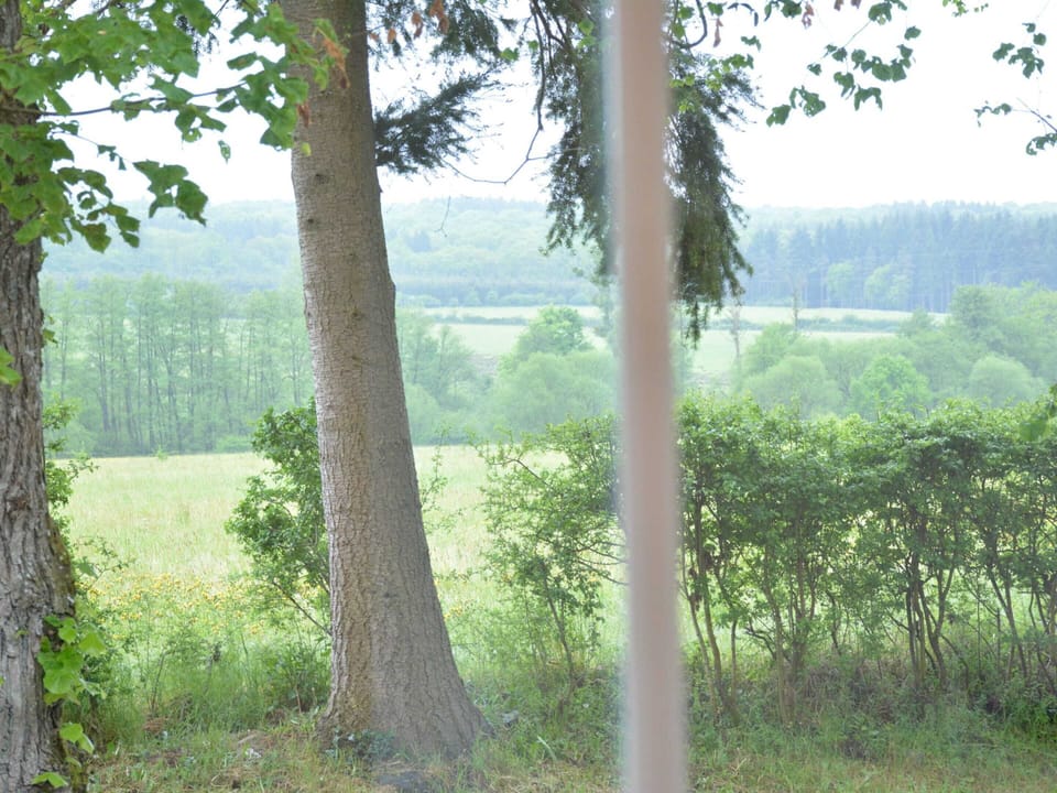 House | View from property