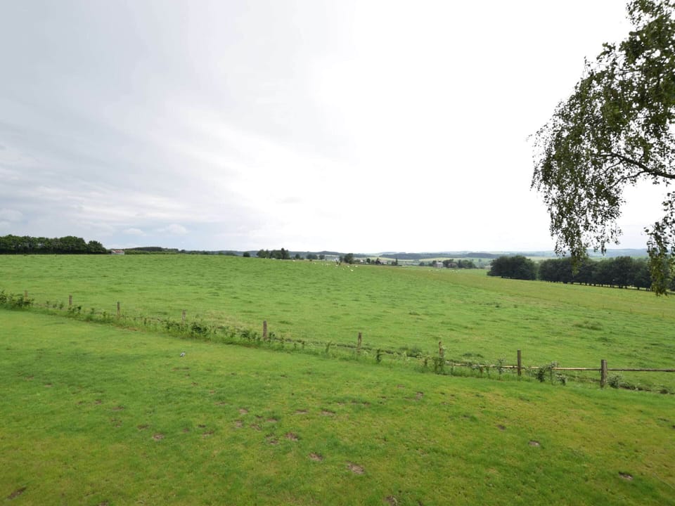 House | View from property