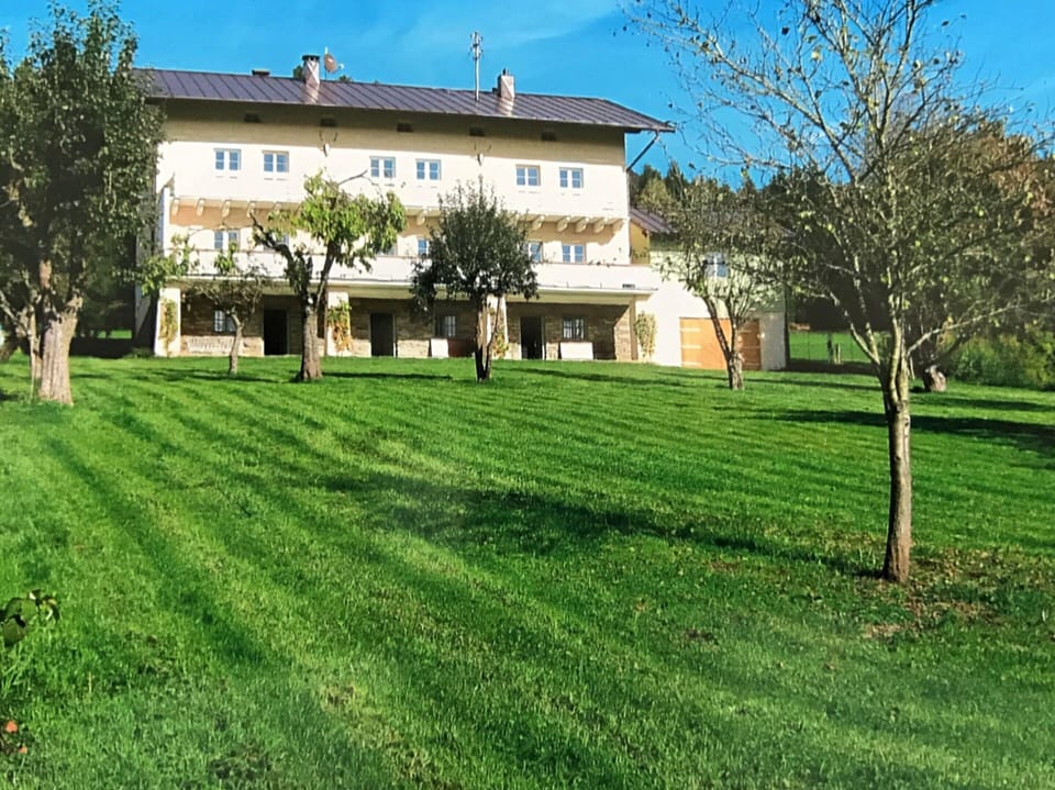 House | Garden