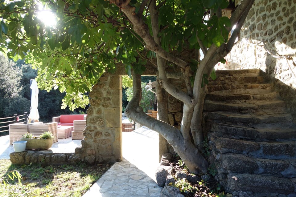 House | Garden