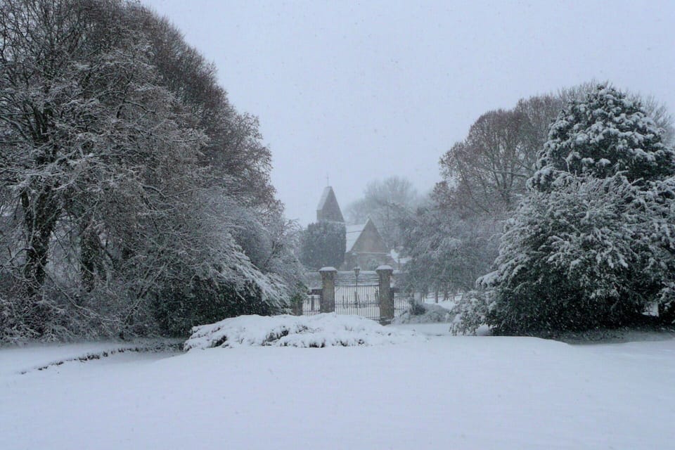 House | Garden
