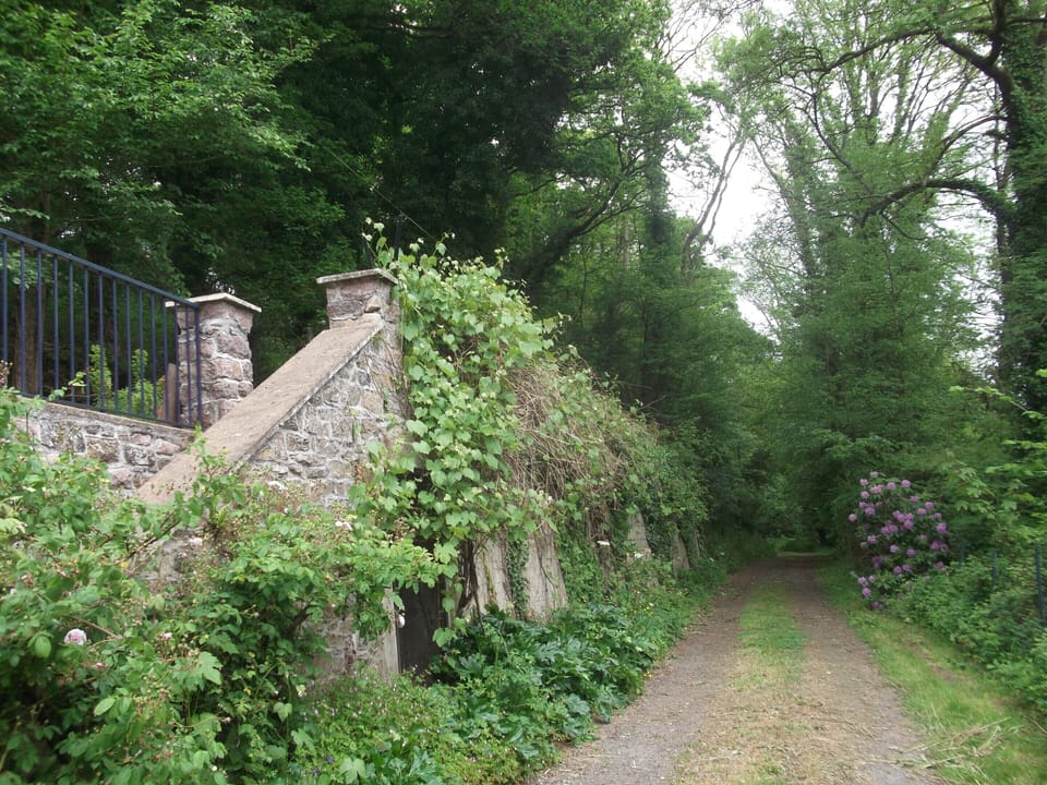 House | Garden
