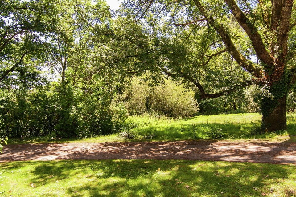 House | Garden