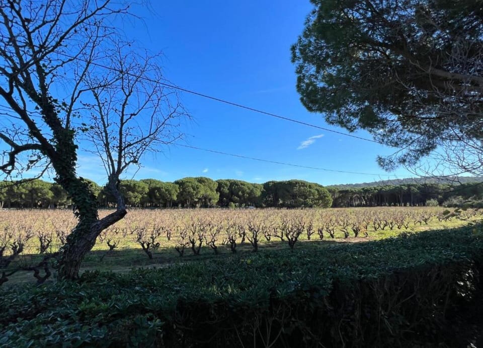 Villa | View from property