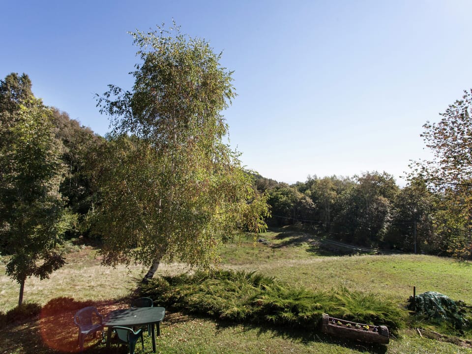 Apartment | Garden