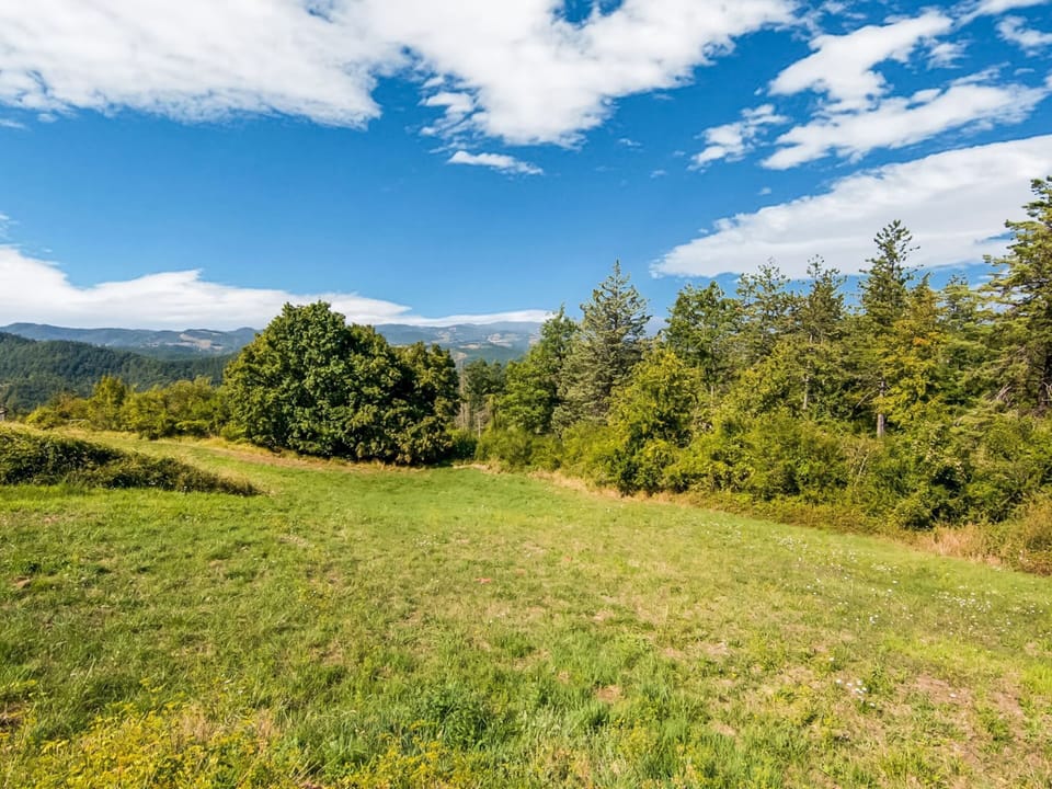 House | View from property