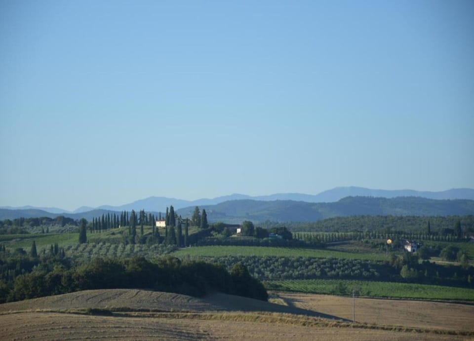 House | View from property