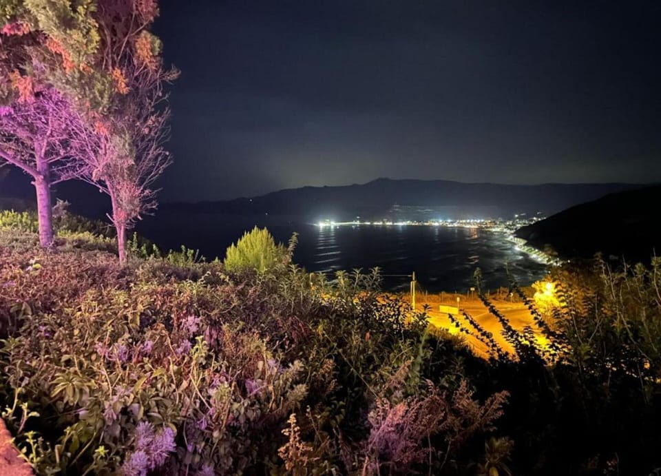 House | View from property