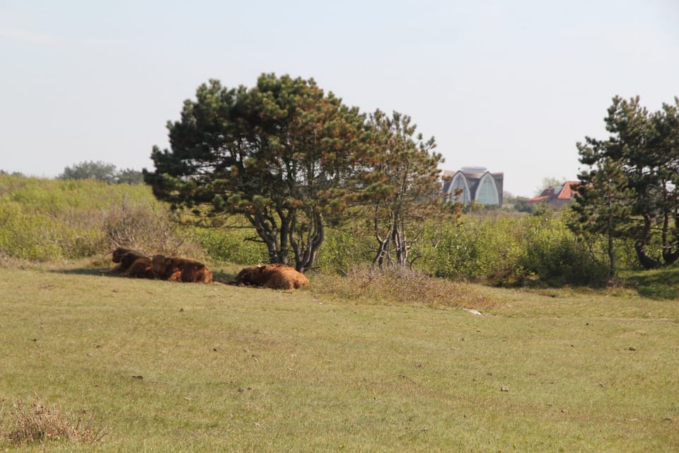 House | View from property