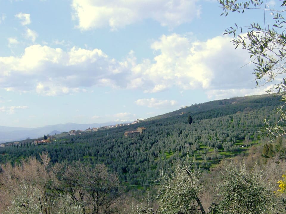 House | View from property