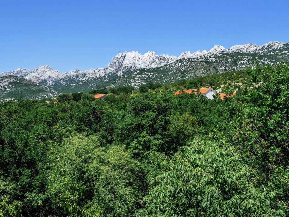 House | View from property